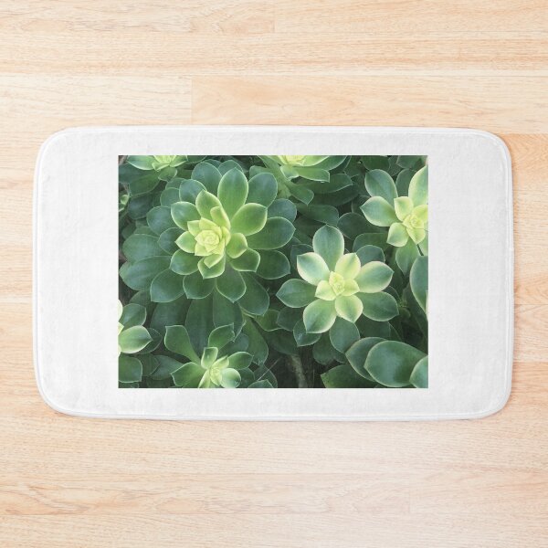 Item preview, Succulent Garden designed and sold by ColibriDesigns.
