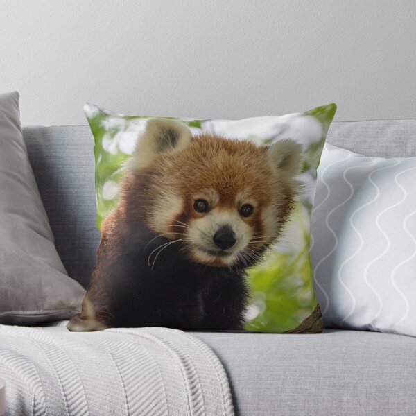 Close up photo of cute red panda sitting on branch in tree Throw Pillow