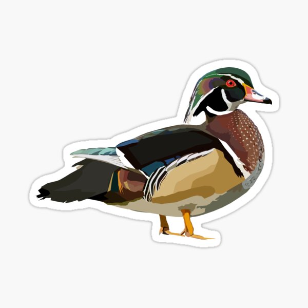Paper & Party Supplies Paper Wood Duck Sticker 56 Inch Set of 4 etna