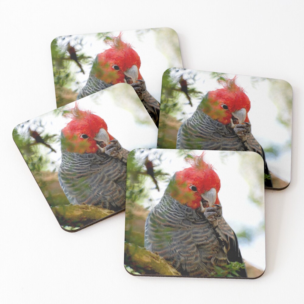Item preview, Coasters (Set of 4) designed and sold by GP1746.