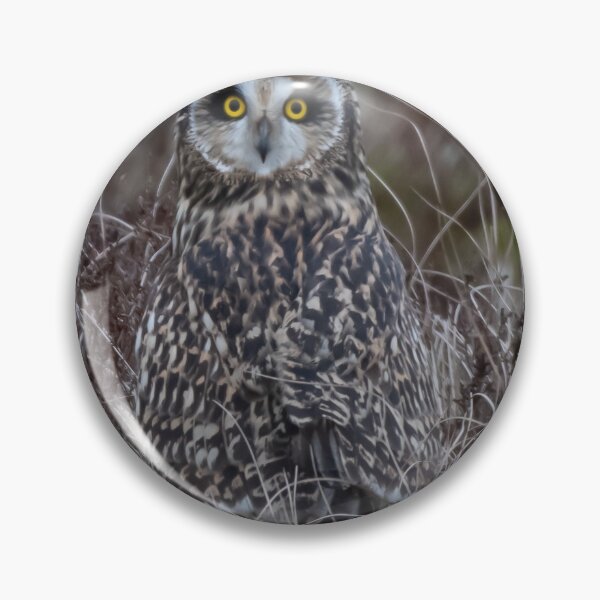 Item preview, short eared owl  designed and sold by tammy mellor.