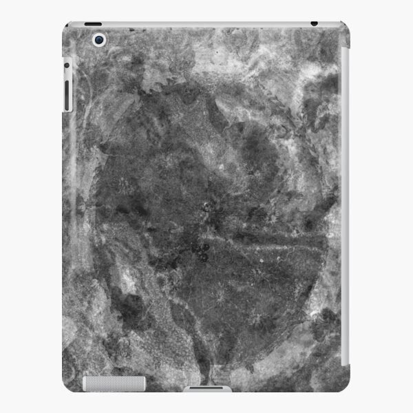 The Atlas of Dreams - Plate 24 (b&w) iPad Snap Case