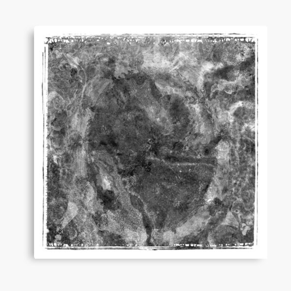 The Atlas of Dreams - Plate 24 (b&w) Canvas Print