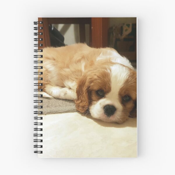 Item preview, Been a Ruff Day - King Charles Spaniel designed and sold by Bubble Co Clothing and Accessories.