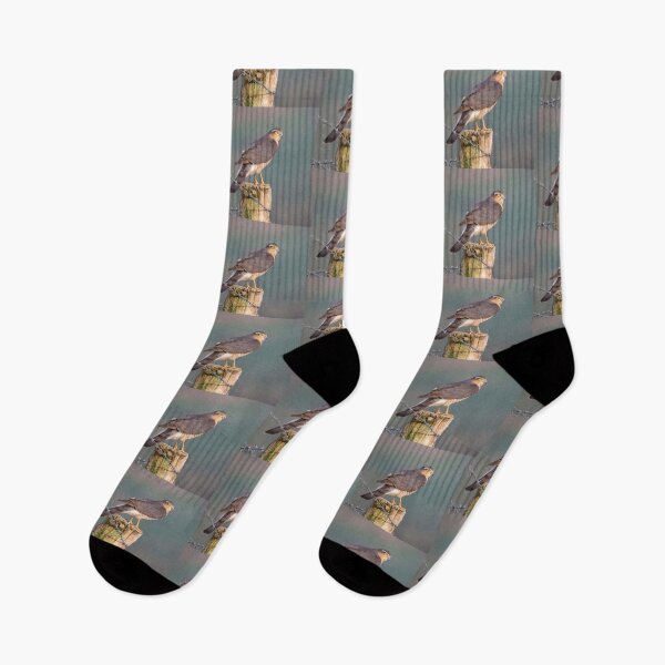 Item preview, sparrow hawk on the look out designed and sold by tammy mellor.