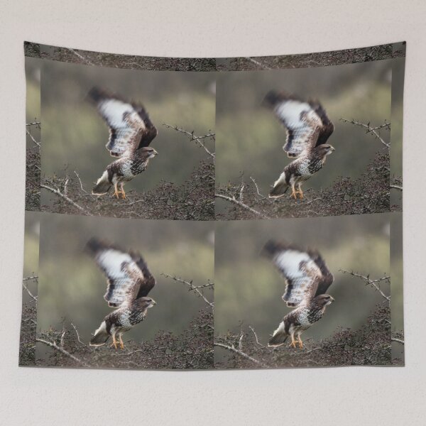 Item preview, buzzard ready to take off designed and sold by tammy mellor.