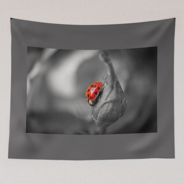 Item preview, Love Bug designed and sold by Alisonchambers2.