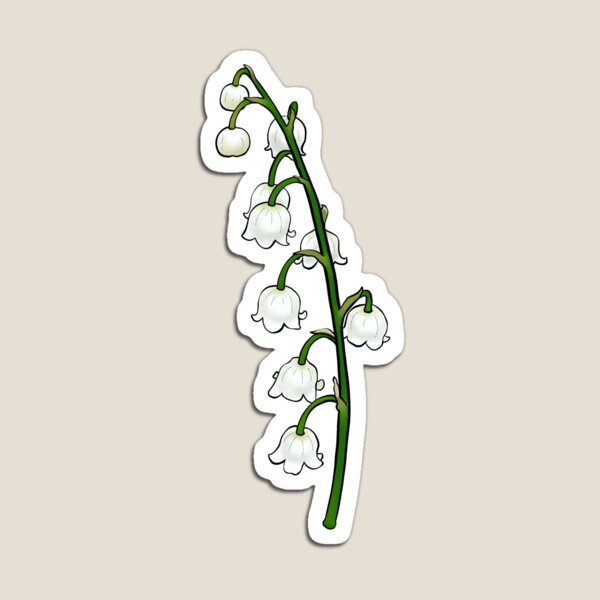 Lily of the Valley Magnet