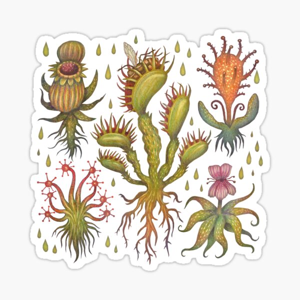 Carnivorous plants Sticker