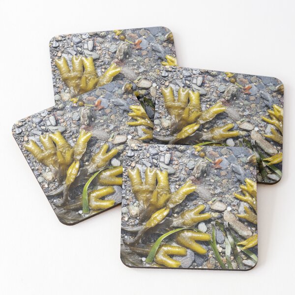 Item preview, Beach and Bladderwrack designed and sold by Krystal  Thomas.