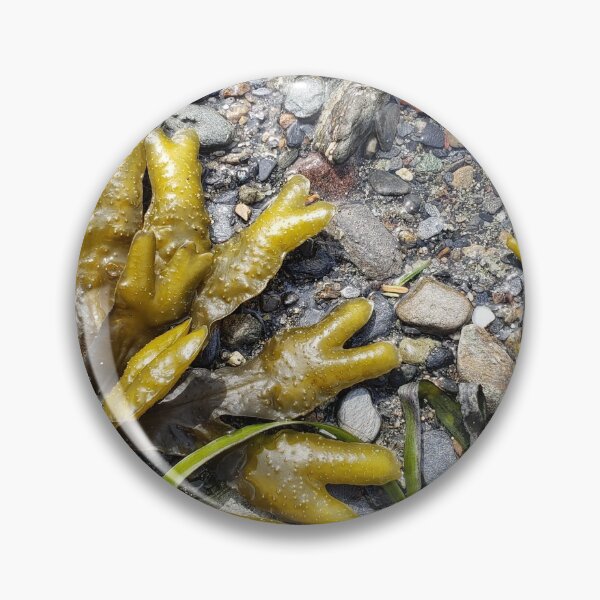 Item preview, Beach and Bladderwrack designed and sold by Krystal  Thomas.