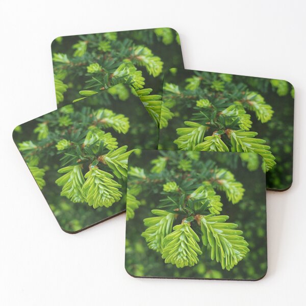 Item preview, Hemlock or Spruce  designed and sold by Krystal  Thomas.