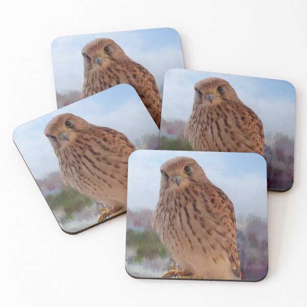 Item preview, Beautiful kestrel falcon designed and sold by Sihamedtaha.