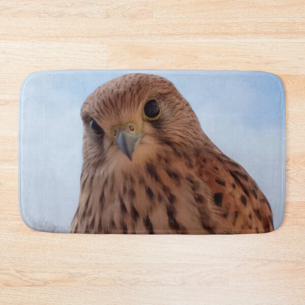 Item preview, Beautiful kestrel falcon designed and sold by Sihamedtaha.