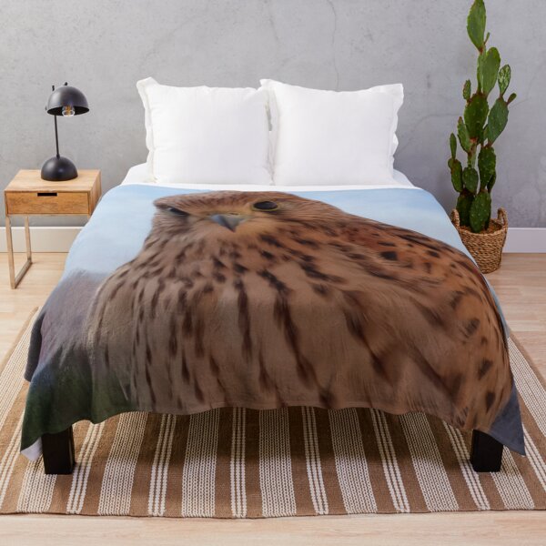 Item preview, Beautiful kestrel falcon designed and sold by Sihamedtaha.