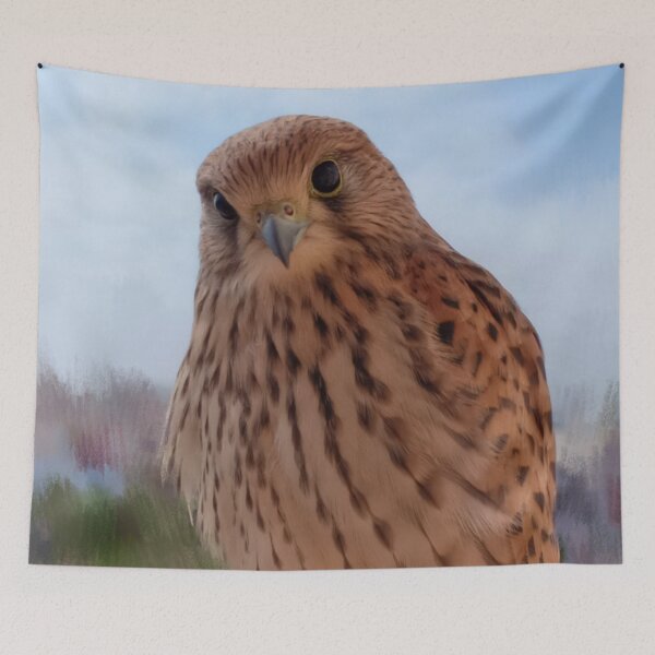 Item preview, Beautiful kestrel falcon designed and sold by Sihamedtaha.