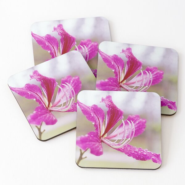 Item preview, Bauhinia flower designed and sold by Anna Ratkevich.