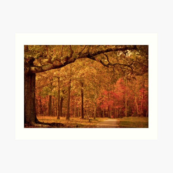 Amber Afternoon Art Print