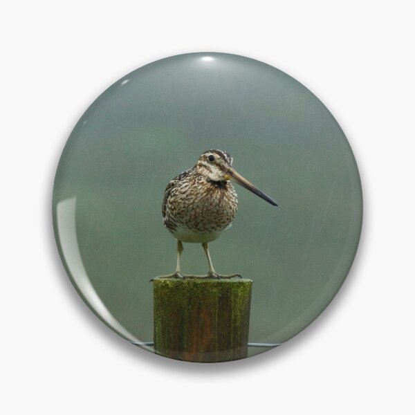 Item preview, Snipe On A Rainy Day In Sutherland designed and sold by Jamie  Green.
