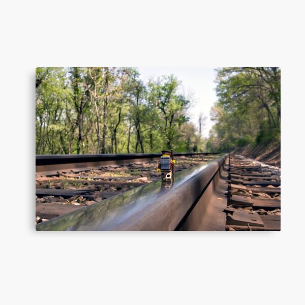 Down on the tracks Canvas Print