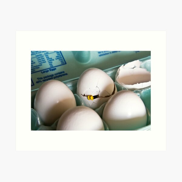 Hatched Art Print