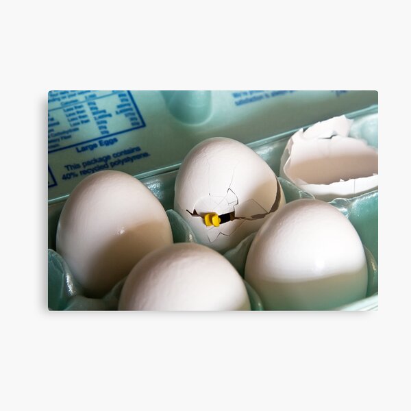 Hatched Metal Print