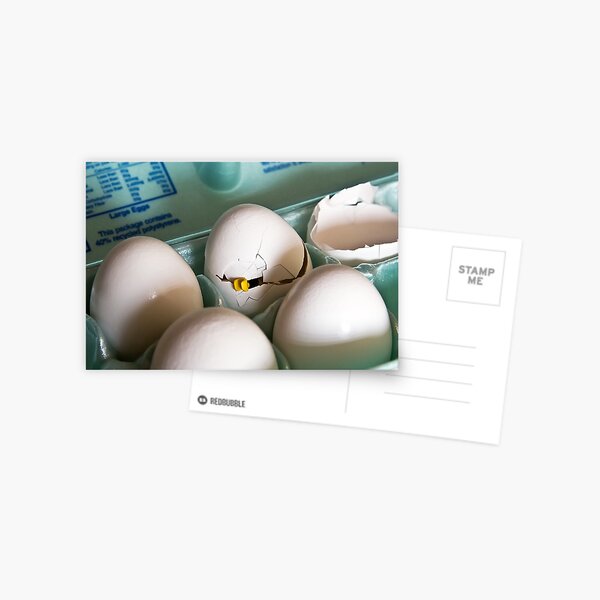 Hatched Postcard