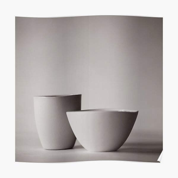 mud still life Poster