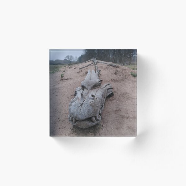 West Stow Dragon Acrylic Block