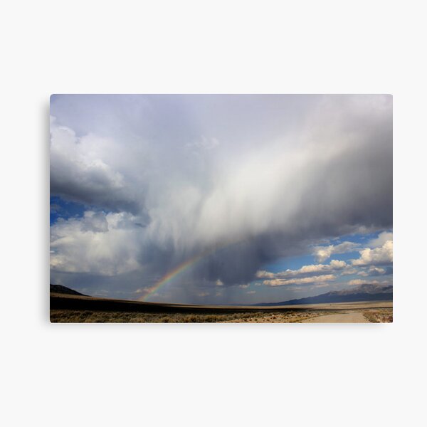 Blessing Bestowed Metal Print