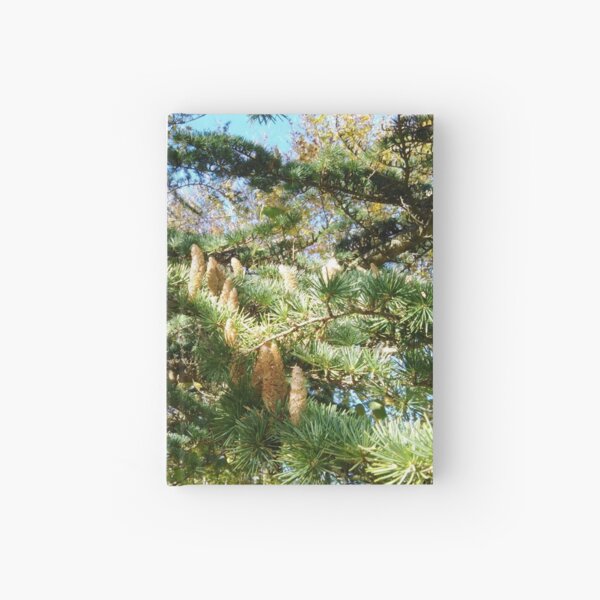Parliament of Owls Tree Hardcover Journal