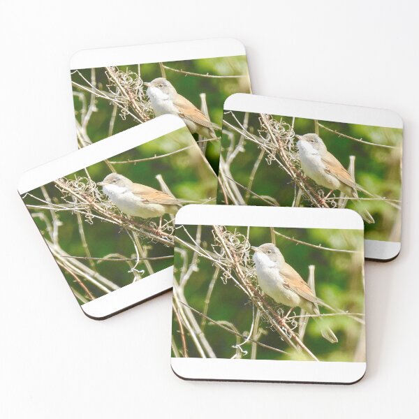 Item preview, Little White throat designed and sold by weecritter.