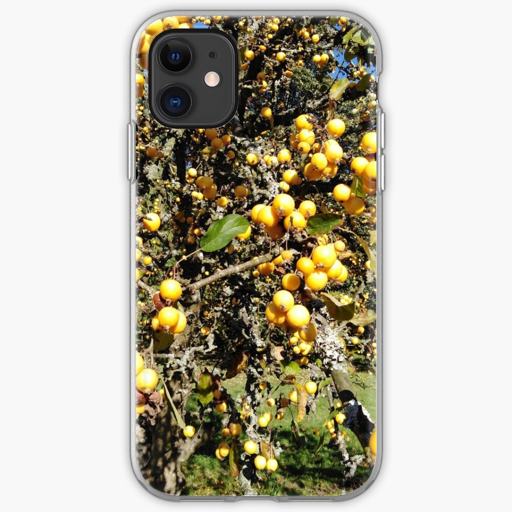 Autumninal Crab Apple Glut 2 iPhone Case & Cover