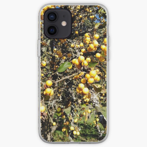 Autumninal Crab Apple Glut 2 iPhone Soft Case