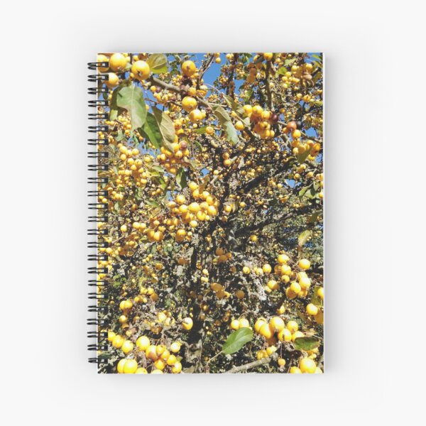 Autumnal Crab Apple Spiral Notebook