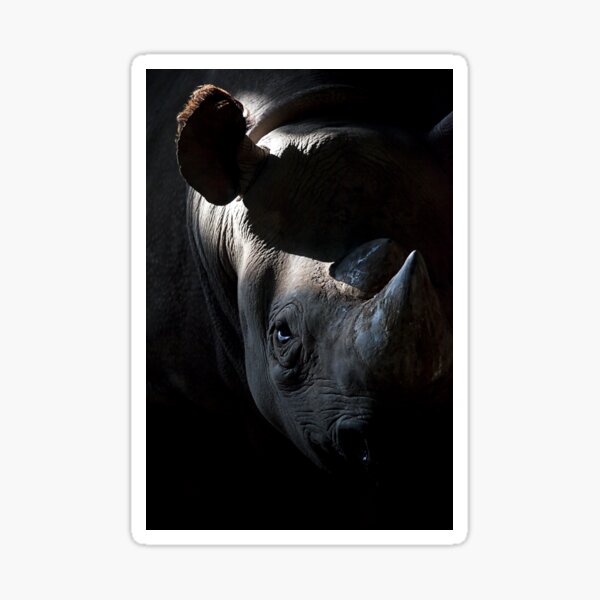 Rhino Sticker