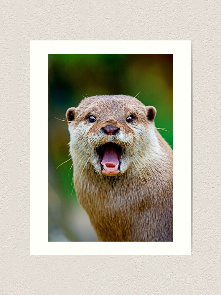 Alternate view of Otter Art Print