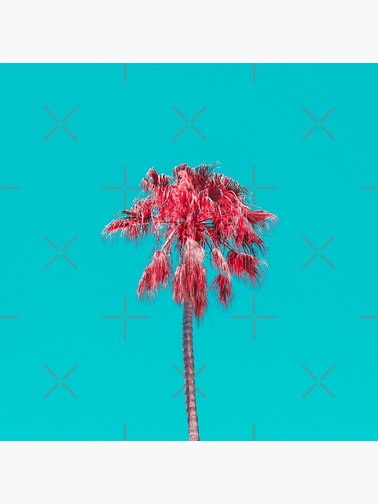 Palm Tree by KatyaHavok