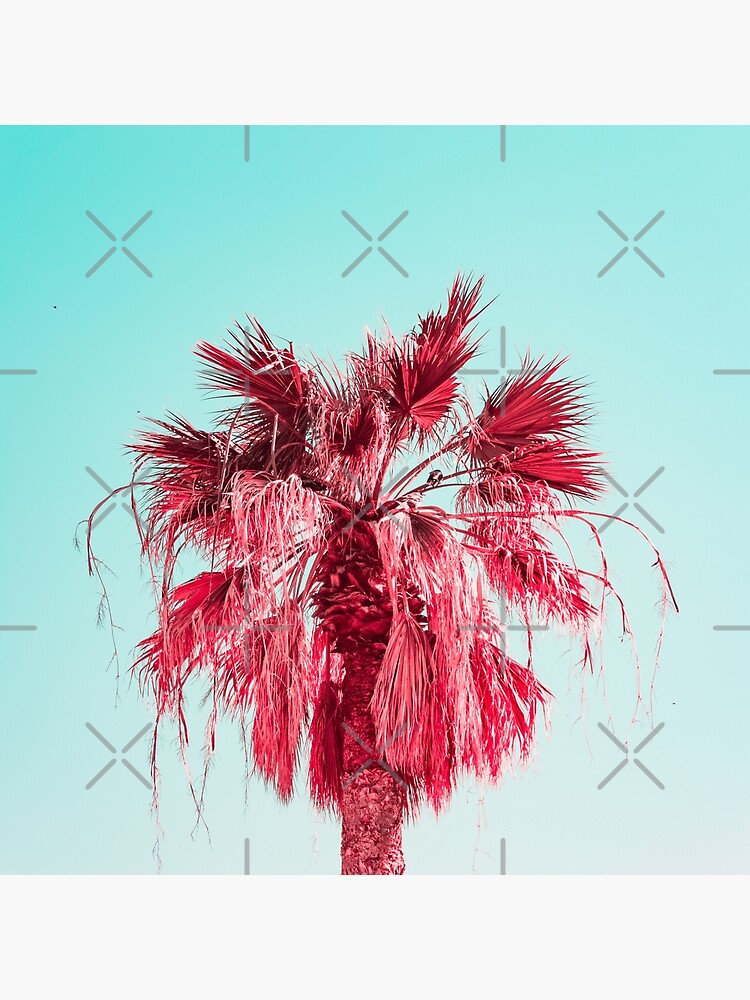 Pink Palm by KatyaHavok