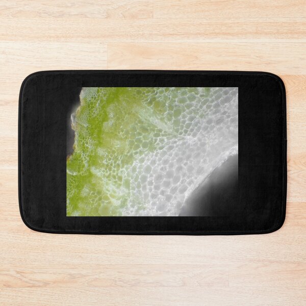 Item preview, Carrot stem cells under the microscope designed and sold by SDym Photography.