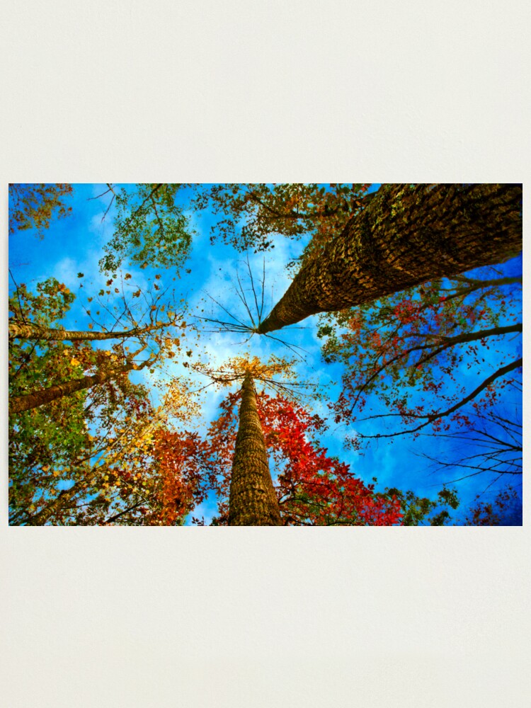 Alternate view of Up! Photographic Print