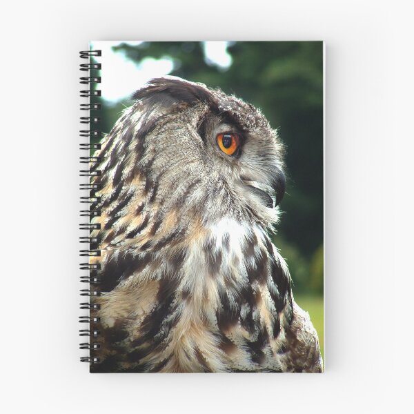 Item preview, Long Eared Owl Portrait designed and sold by CoppertreePhoto.