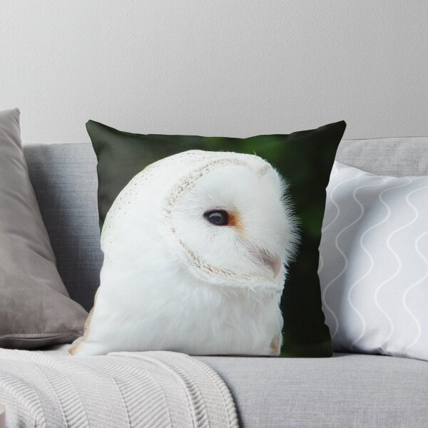 Item preview, Barn Owl Portrait designed and sold by CoppertreePhoto.
