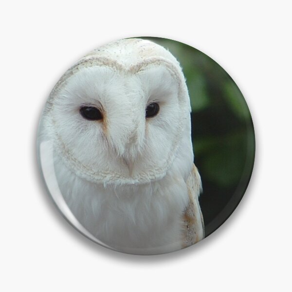 Item preview, Barn Owl Portrait  designed and sold by CoppertreePhoto.