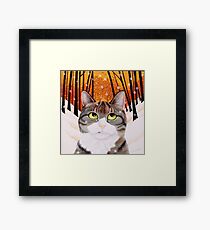 Mulder Framed Print
