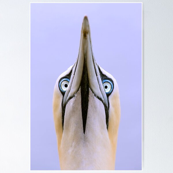 Item preview, I Only Have Eyes For You designed and sold by Stuart Robertson Reynolds.