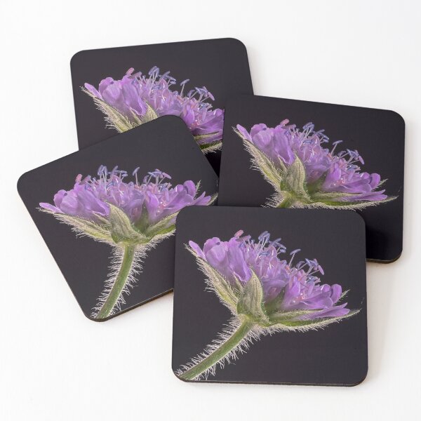 Item preview, pincushion flower designed and sold by LinaDesign Store.