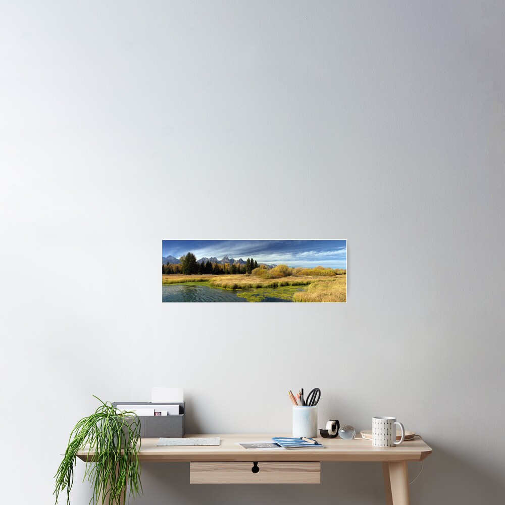 Golden Marsh Grasses, Teton Panorama Poster