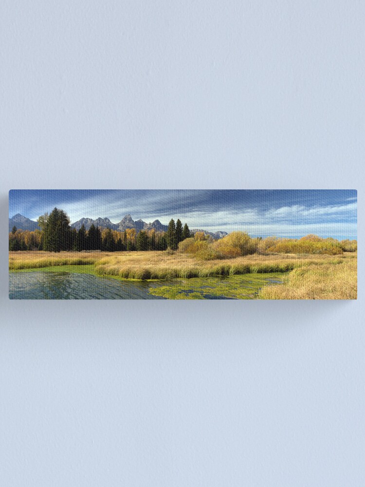 Alternate view of Golden Marsh Grasses, Teton Panorama Canvas Print
