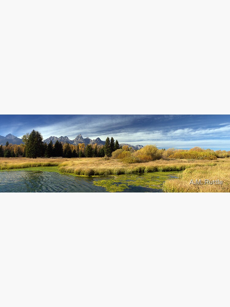 Golden Marsh Grasses, Teton Panorama by annruttle